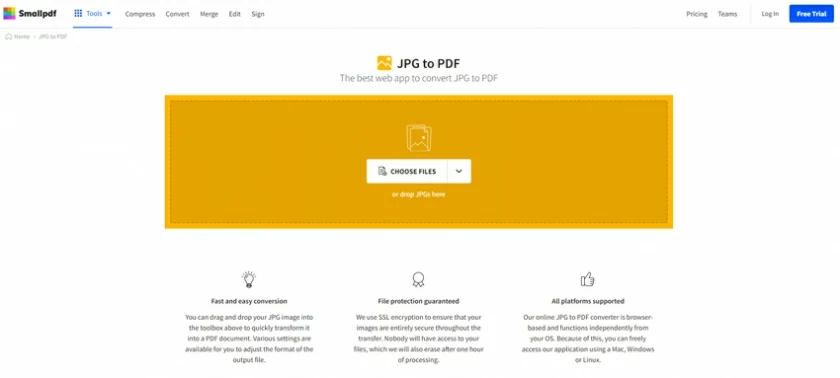 How to Convert JPEG to Word Online [2 Efficient Ways]